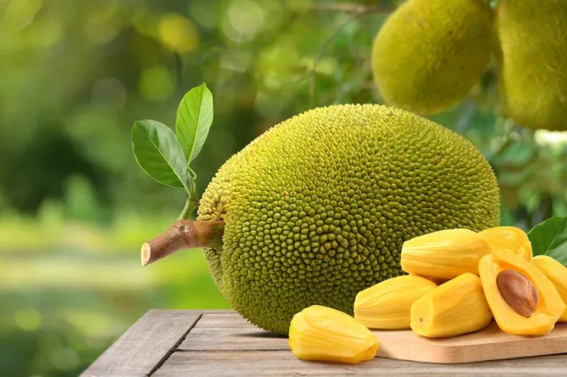 Fresh Jackfruit