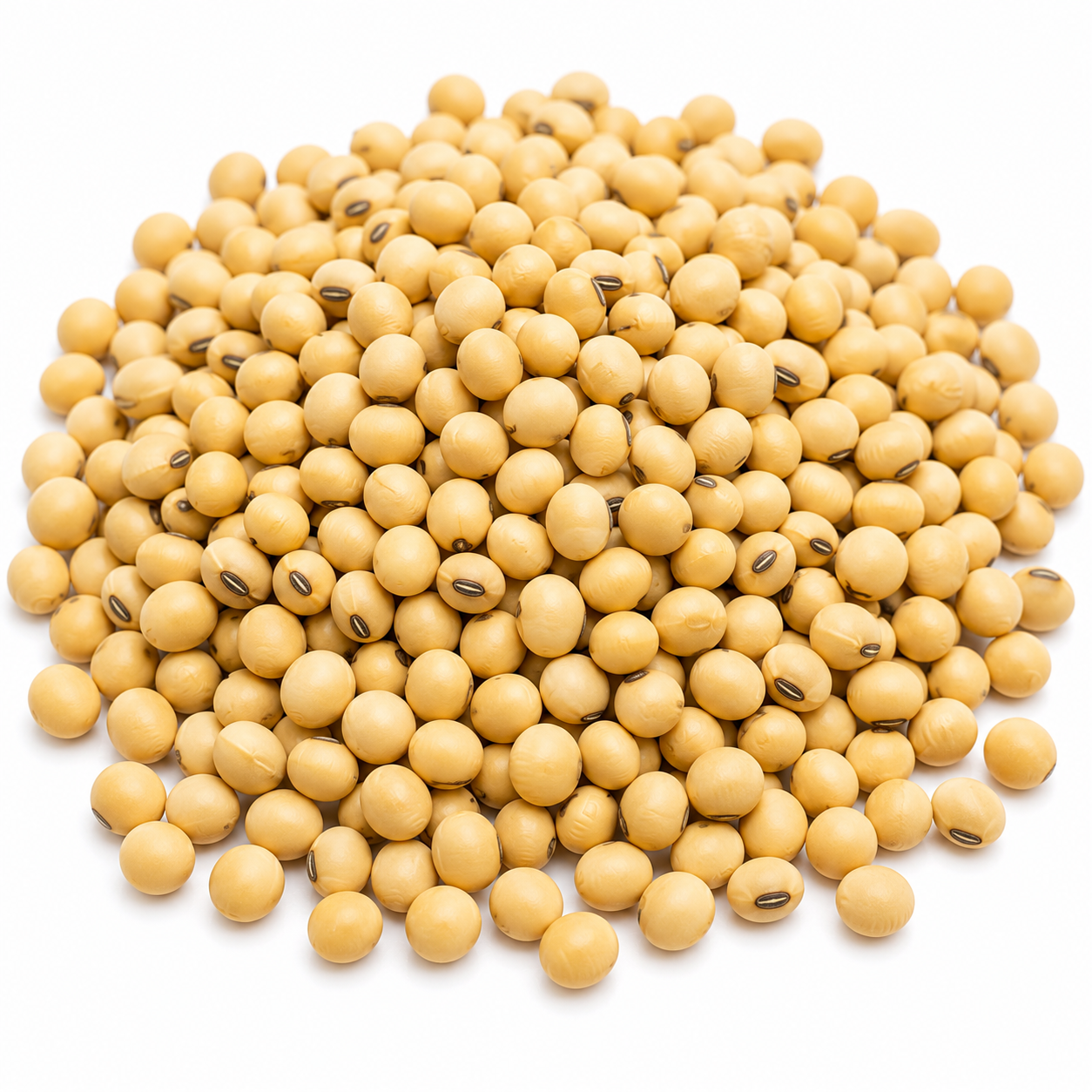 Soybeans